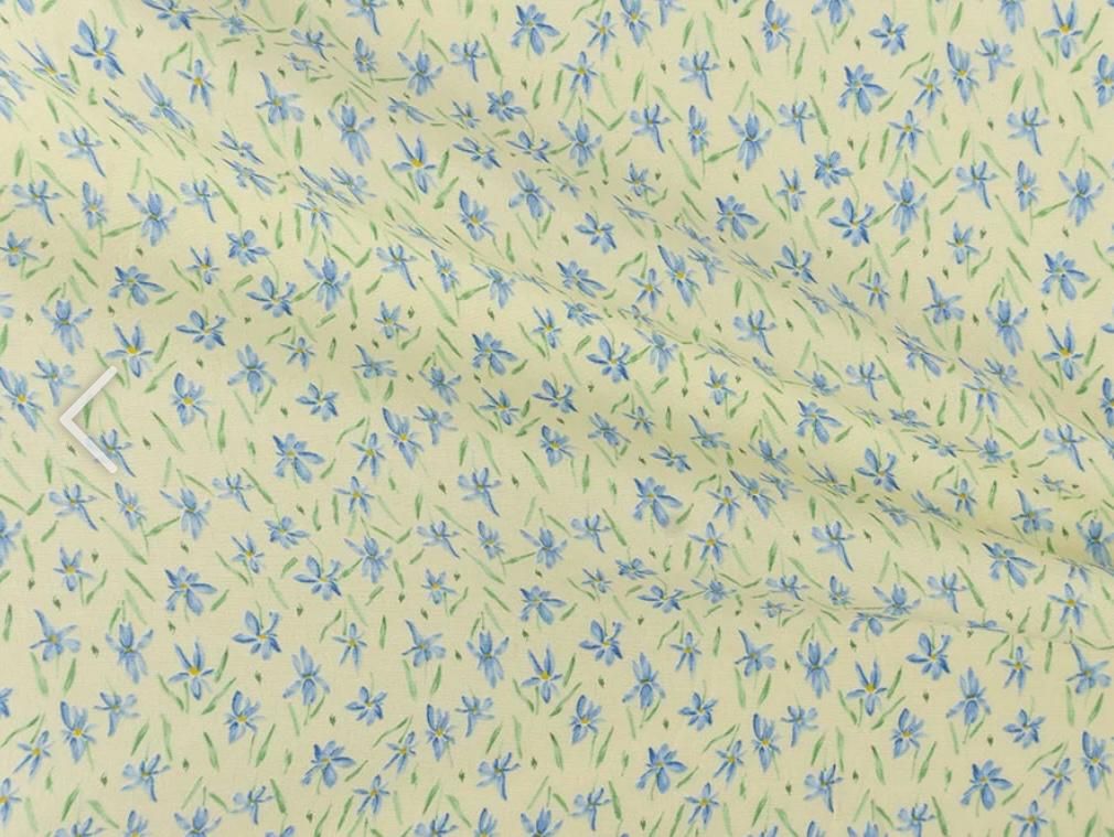 Leghorn blue lilies