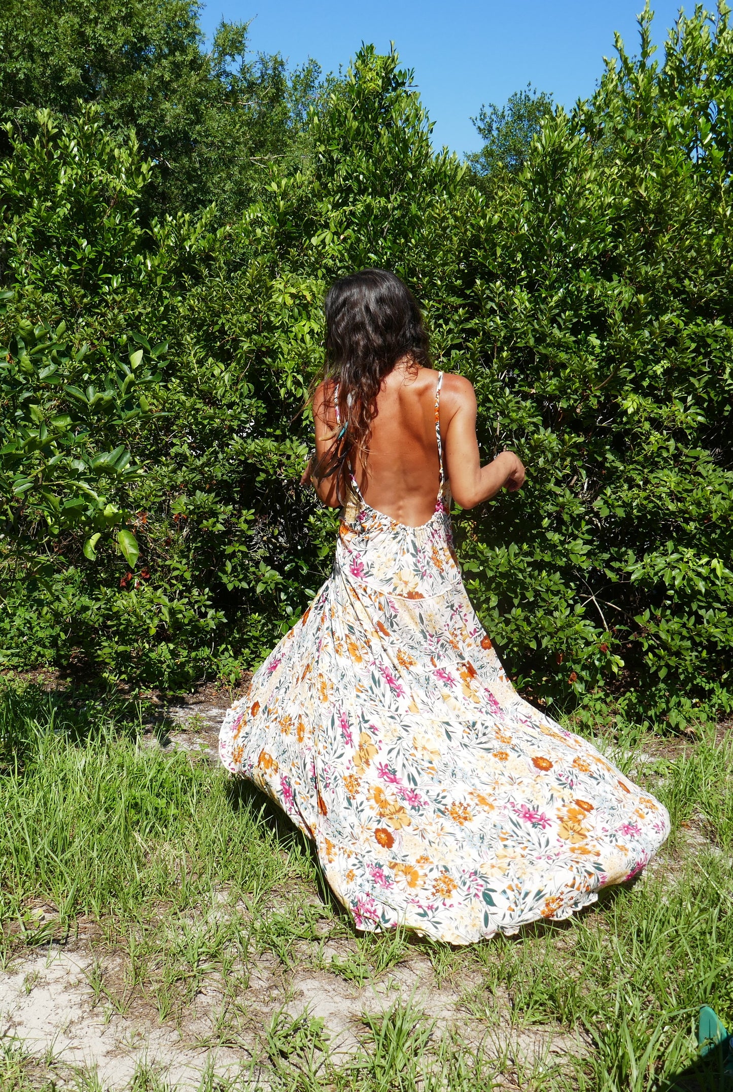 Tan Golden Glow Floral