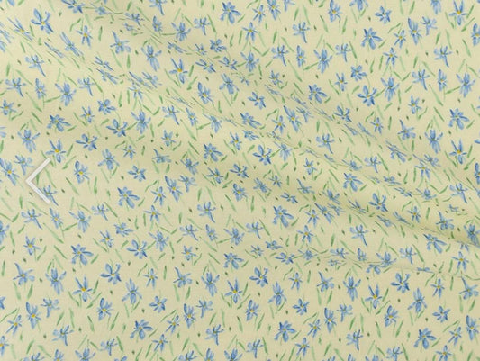 Leghorn blue lilies